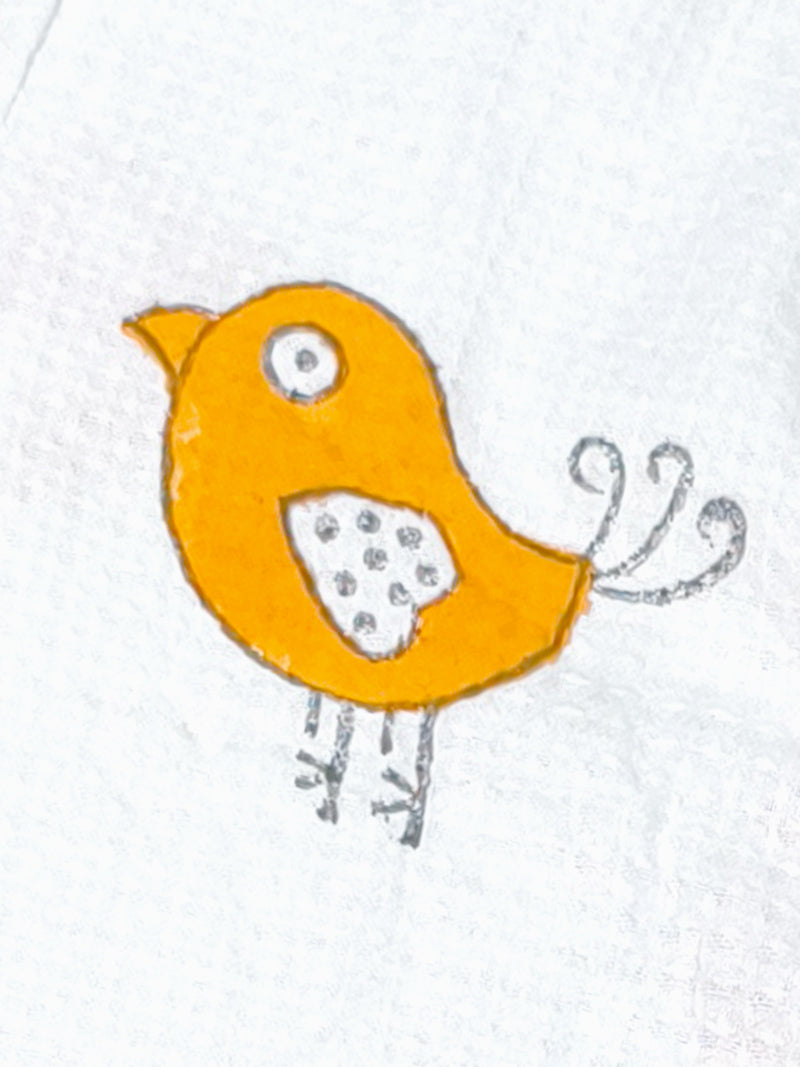 Tweety Print Handblock Cotton Kids Bathrobe – Soft & Quick Dry