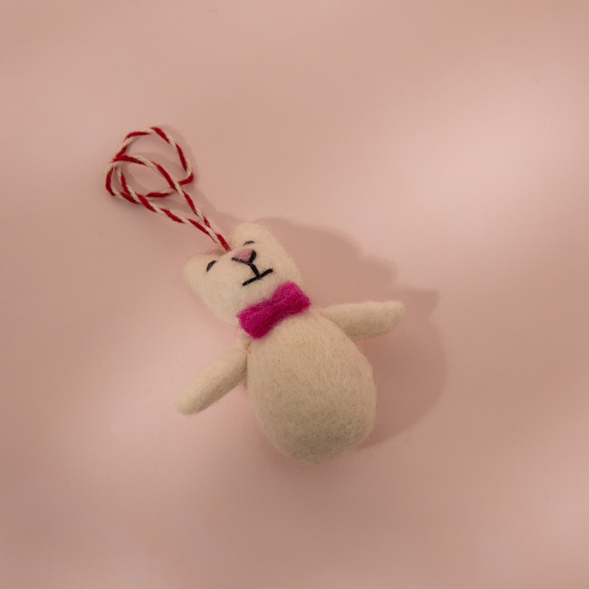 Bobo the  Bowtie Bear