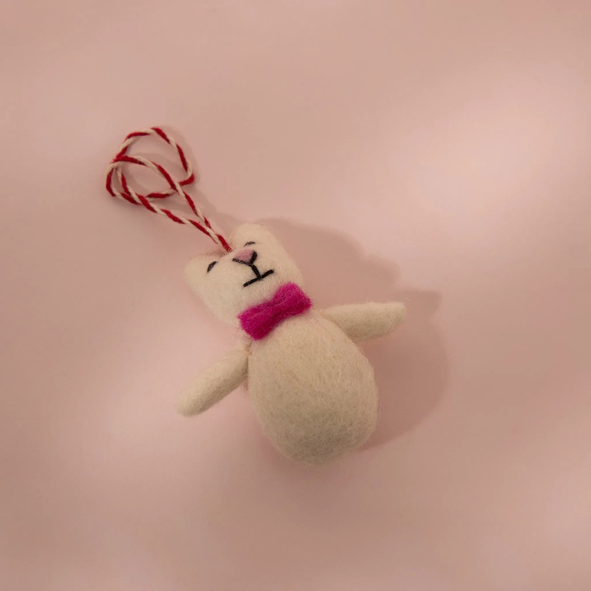 Bobo the  Bowtie Bear