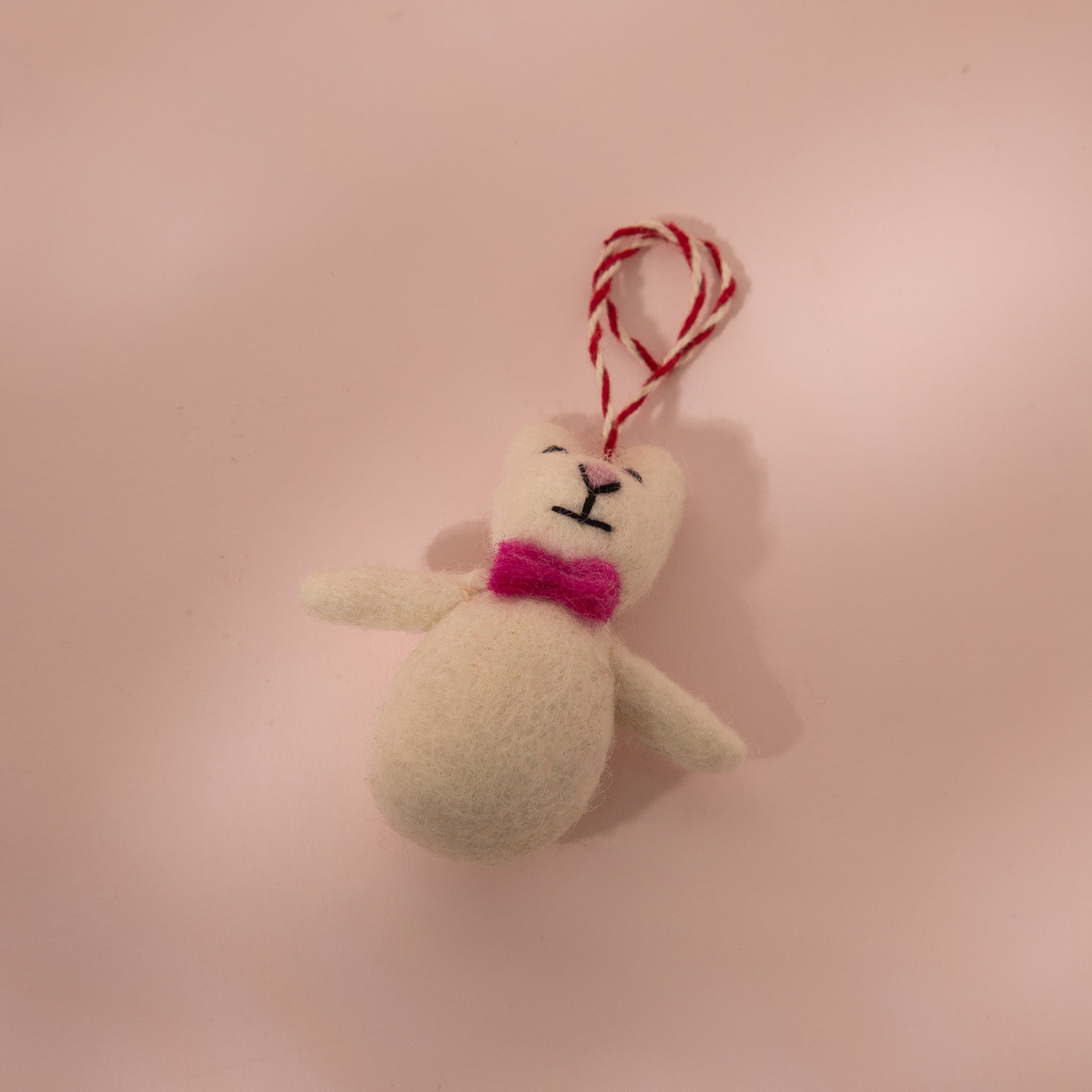 Bobo the  Bowtie Bear