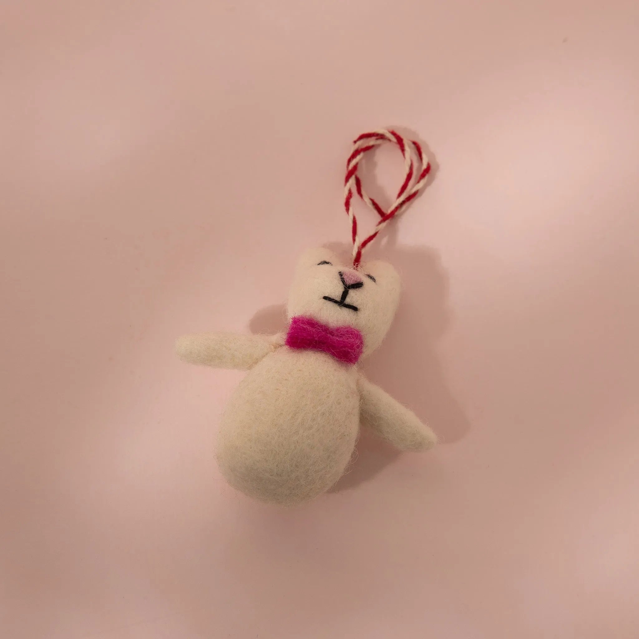 Bobo the  Bowtie Bear